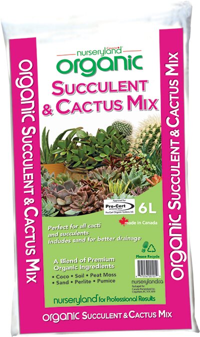 Organic Succulent & Cactus Mix