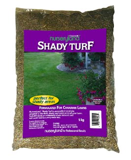 Shady Turf Grass Seed